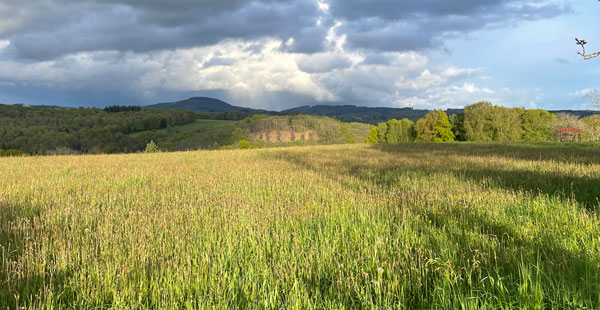 Paysage lieu possible d'implantation